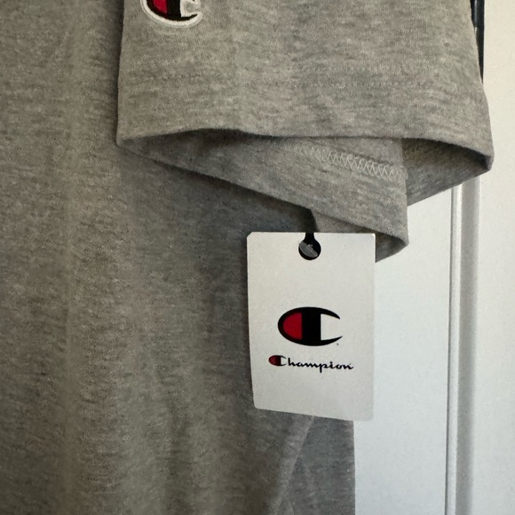 Champion Men's Short Sleeve T-Shirt Gray, 3XLT - Picture 4 of 4